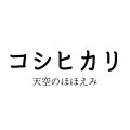 ３kg 　白米　コシヒカリ　